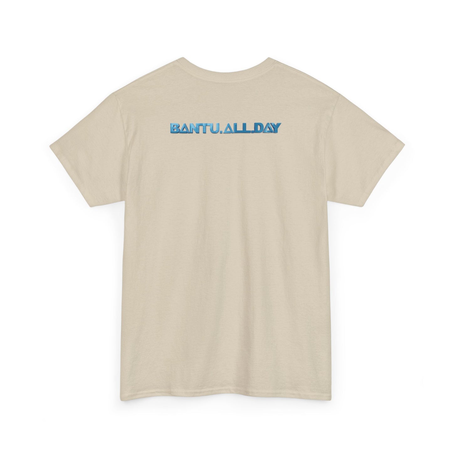 BANTU.ALL.DAY - RetroFutureFantastic - Navy Ice Cream (Clear Back)